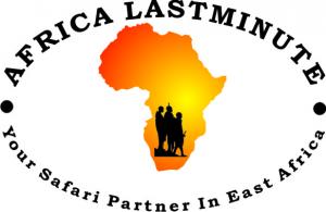 AFRICA LAST MINUTE LTD