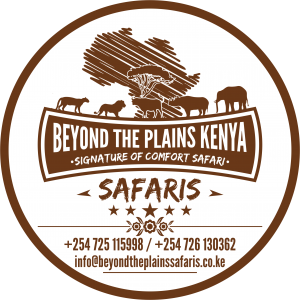 Beyond the plains Kenya safaris 