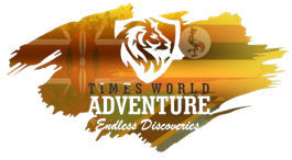 Timesworld Adventure