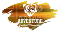 Timesworld Adventure