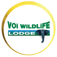 Voi Wildlife Lodge