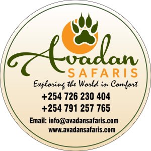Avadan Safaris Limited