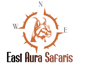 East Aura Safaris