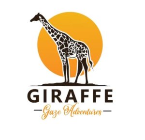 GIRAFFE GAZE ADVENTURES