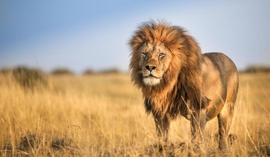 7-Day Spirit of Kenya – Holiday Vacations Safari