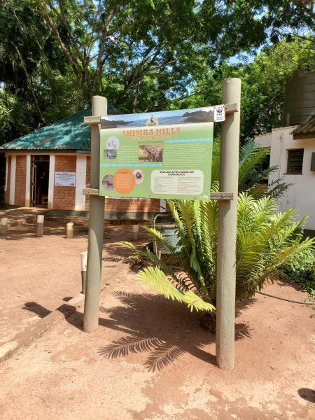  1-Day Shimba Hills Adventure