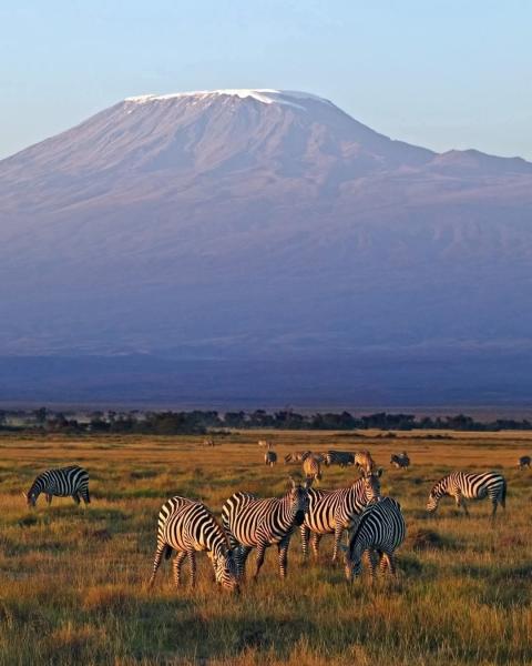 3-Day Amboseli and Beach Time Mid Range Tour