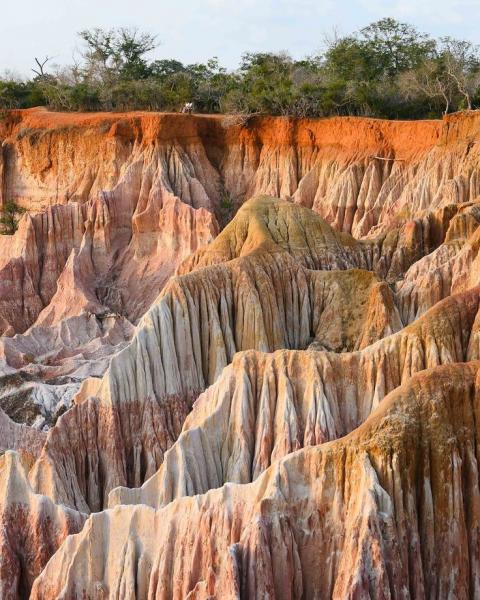 Malindi connect safari