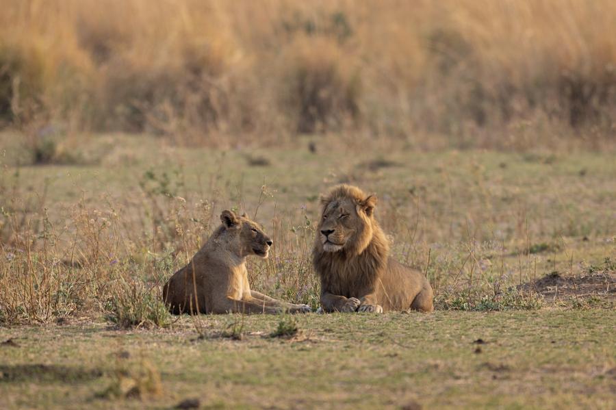 3 Days Taita Hills & Ziwani Sanctuaries GAE2025112502