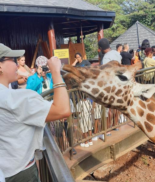 5 Days Wildlife Highlights