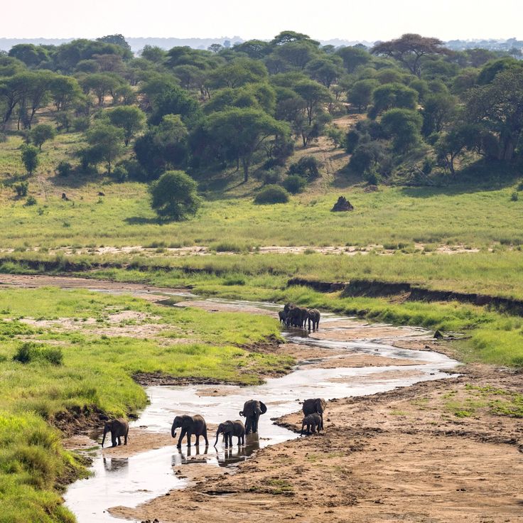 5-day Tanzania Safari [ Small group trip]