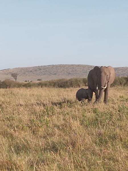  Explore Masai Mara National Reserve