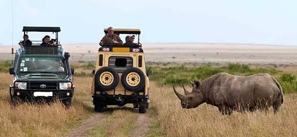 Masai Mara & Lake Nakuru National Parks Safari