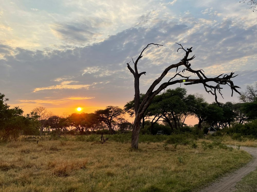 3days(2nights) Okavango delta tour