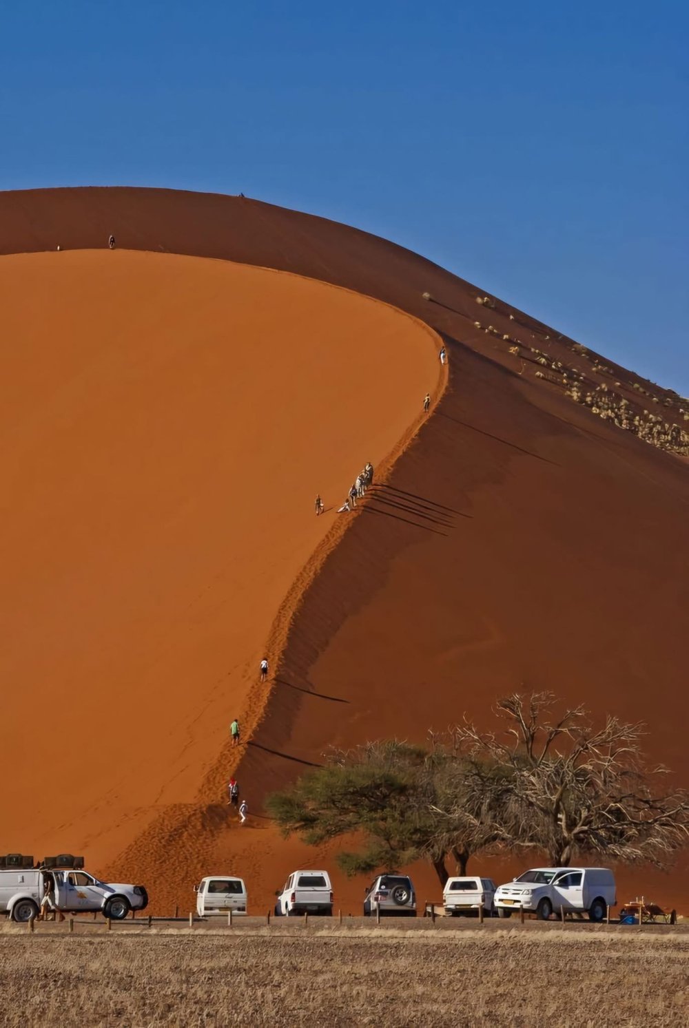 Namib Desert & Etosha NP