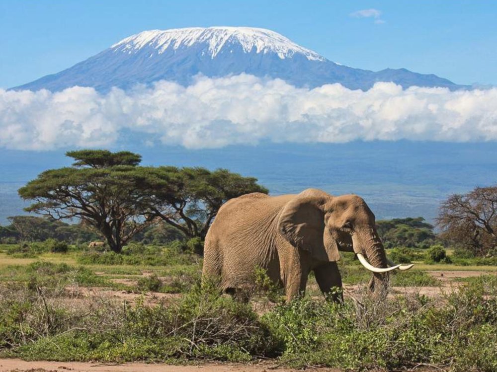 🌍 KENYA WILDERNESS TO BEACH ADVENTURE EXPERIENCES 5 Days | 4 Nights – Safari & Coast Escape Nai