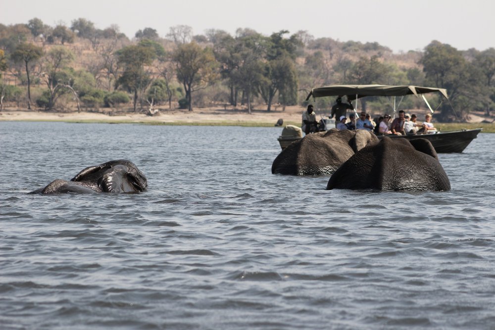 5 Days Victoria Falls and Chobe Safari