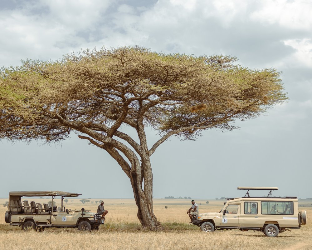 Tarangire & Ngorongoro Crater from Zanzibar