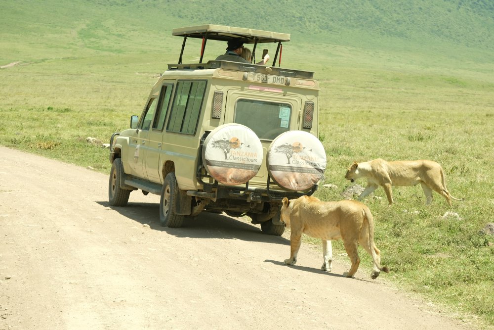 5-DAYS TANZANIA CLASSIC UNFORGETTABLE WILDLIFE SAFARI.