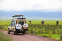 CHARLES RASHID MBWAMBO